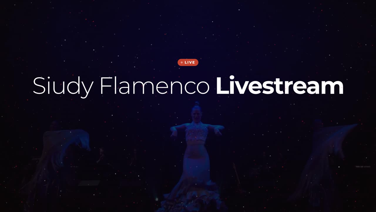 Siudy Flamenco Livestream — how it works
